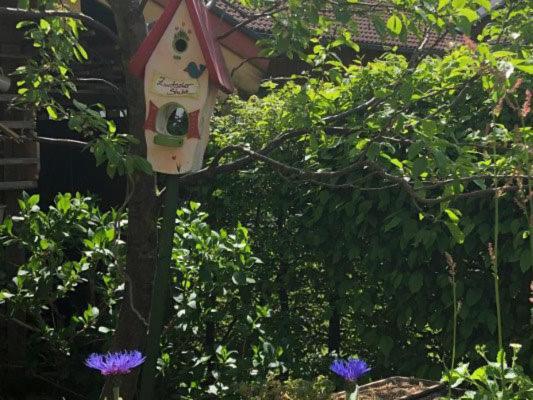 Haus Oberland Lägenhet Bad Endorf Exteriör bild